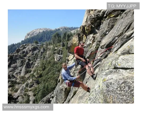 上海攀岩队近期状态对比分析及未来发展趋势探讨