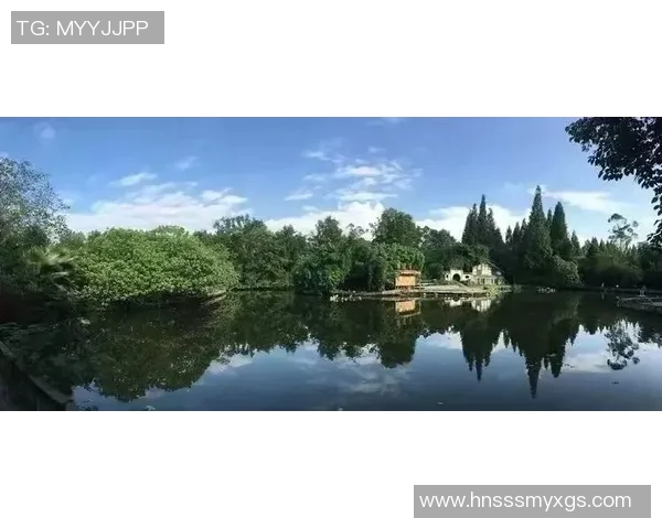 重庆排球队创新高展现团队协作精神引领排球新风潮 重庆排球队创新高展现团队协作精神引领排球新风潮