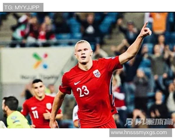 挪威与塞尔维亚的历史渊源与当代关系探讨 挪威与塞尔维亚的历史渊源与当代关系探讨