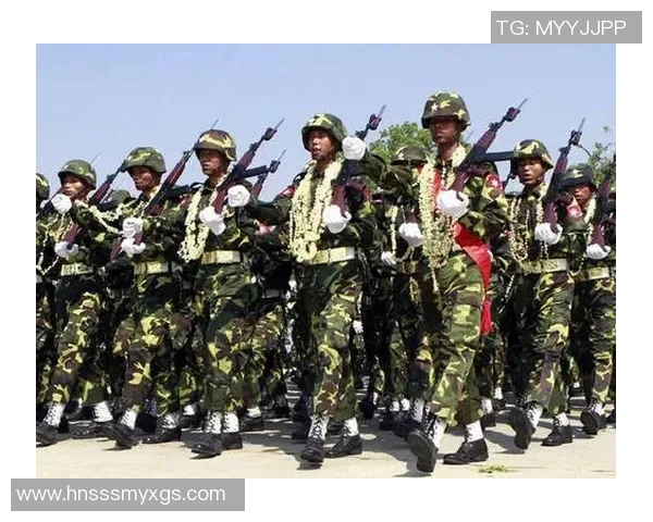 缅甸与越南军力对比分析探讨两国军事发展现状与未来潜力